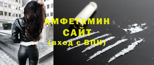 твердый Арсеньев