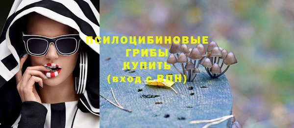 твердый Арсеньев