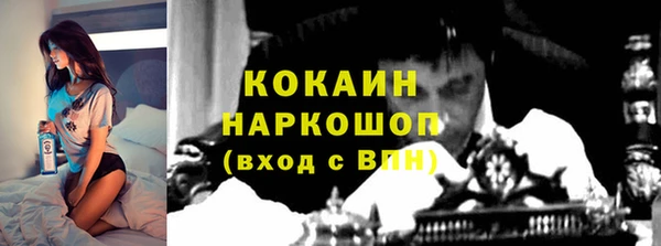твердый Арсеньев