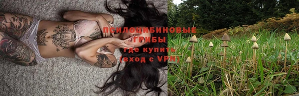 МДПВ Аркадак