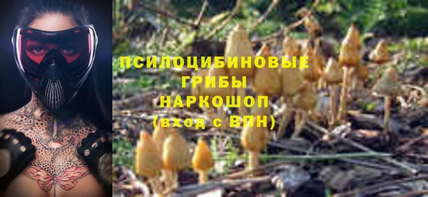 МДПВ Аркадак