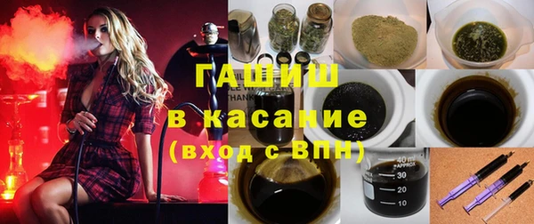 твердый Арсеньев
