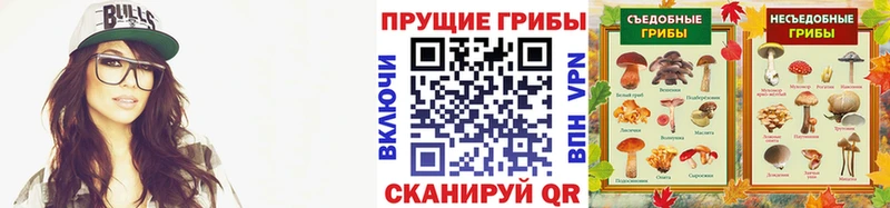 гидра как зайти  где найти наркотики  Спас-Клепики  Псилоцибиновые грибы Cubensis 